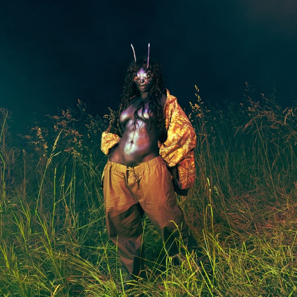 Album cover for SOS Deluxe: LANA by SZA